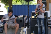 Sommerkonzert-2014-Donaustrand130